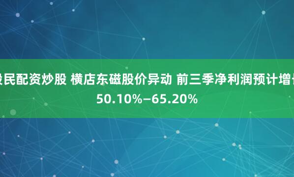 股民配资炒股 横店东磁股价异动 前三季净利润预计增长50.10%—65.20%